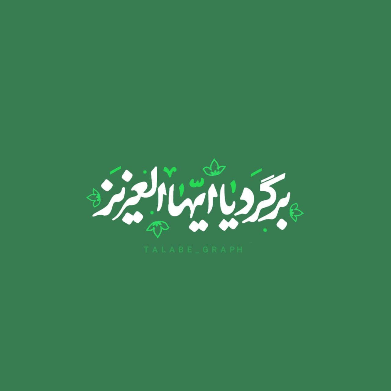 تصویر با کیفیت ( برگرد یا ایها العزیز )